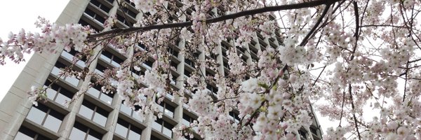 VectisOW Profile Banner