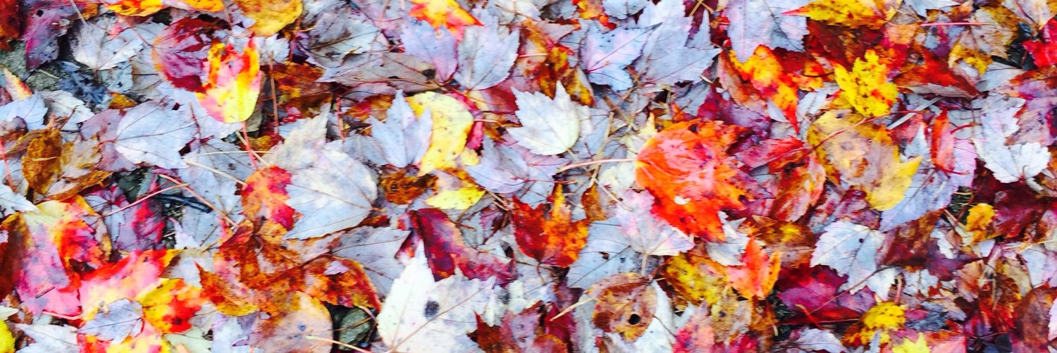 MLEeditor's profile banner image
