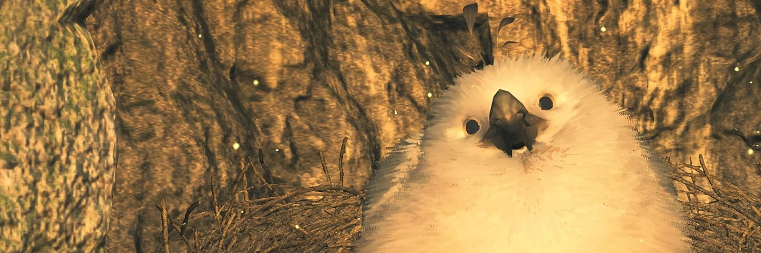 merranis's profile banner image