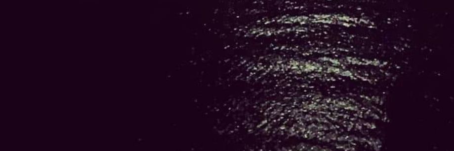 ZenaidaGul's profile banner image