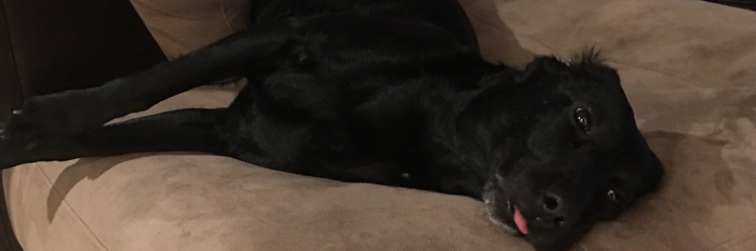 lecksers's profile banner image