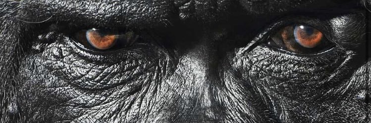 Exclusivetayy's profile banner image