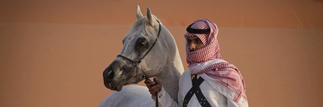 sayel2012's profile banner image