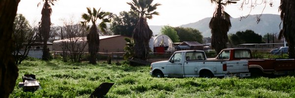 bedbugOFFICIAL Profile Banner