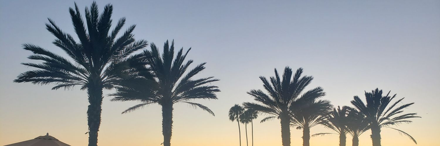 NataliePolisson's profile banner image