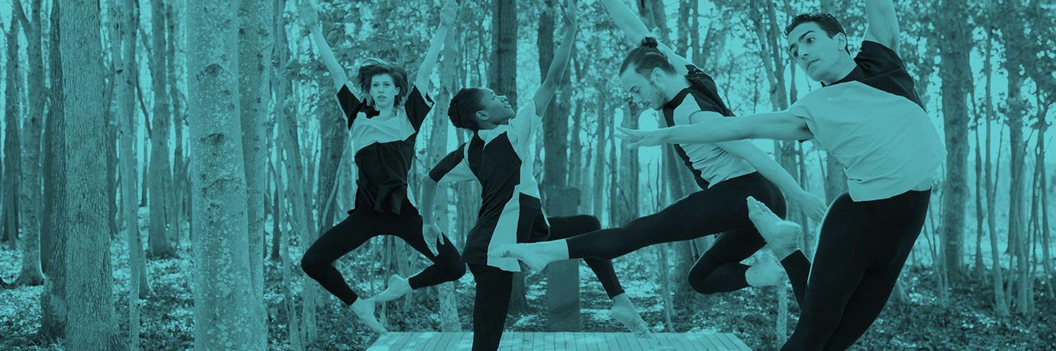 DanceMotion USA banner