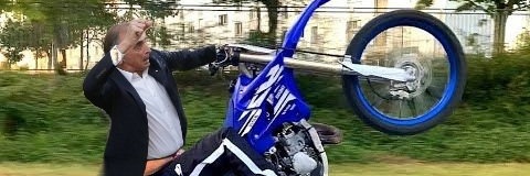 S I X E L A 🦁 banner