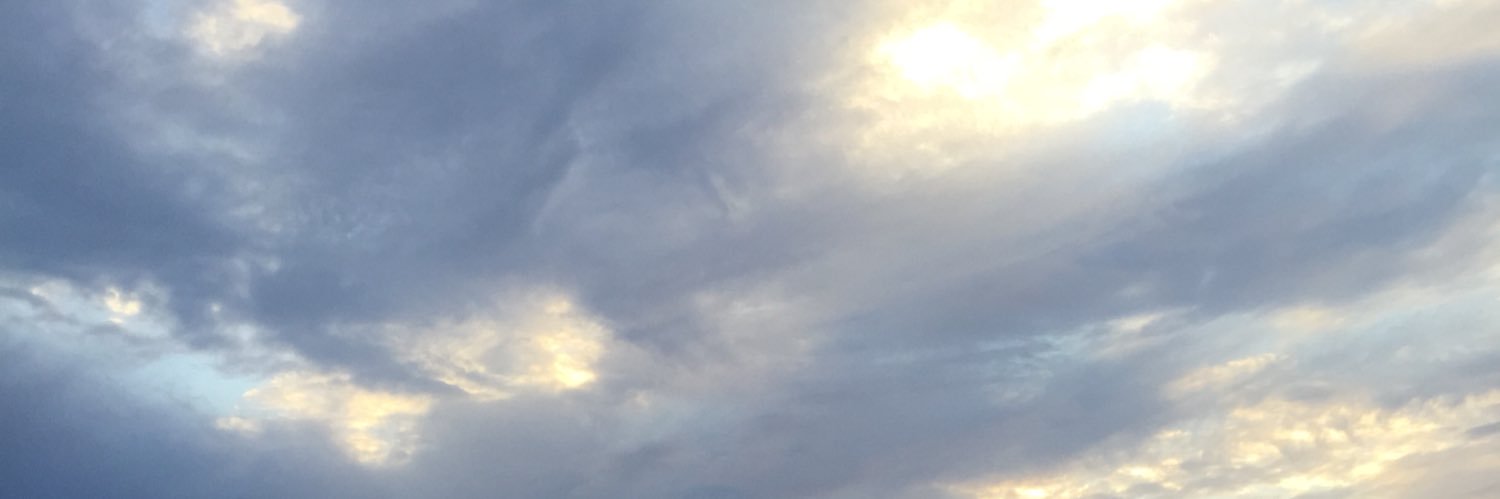 HaynalTim's profile banner image