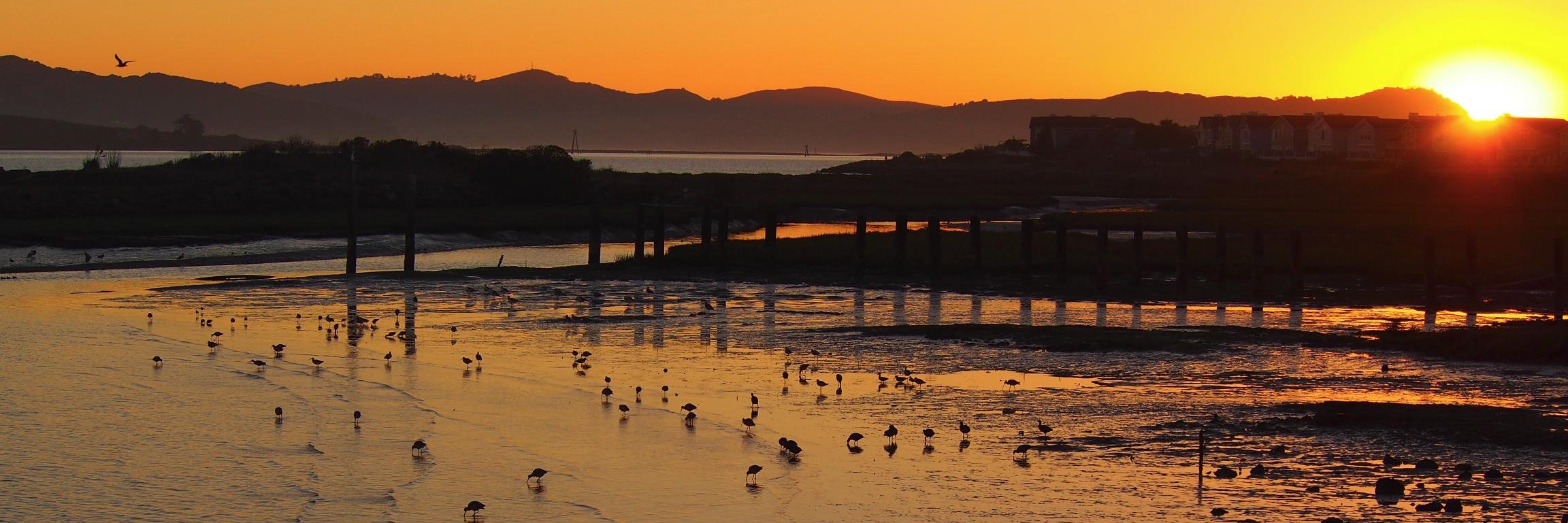 christreadway's profile banner image
