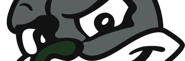 BWAYathletics Profile Banner