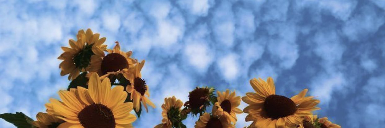 _xomonte's profile banner image