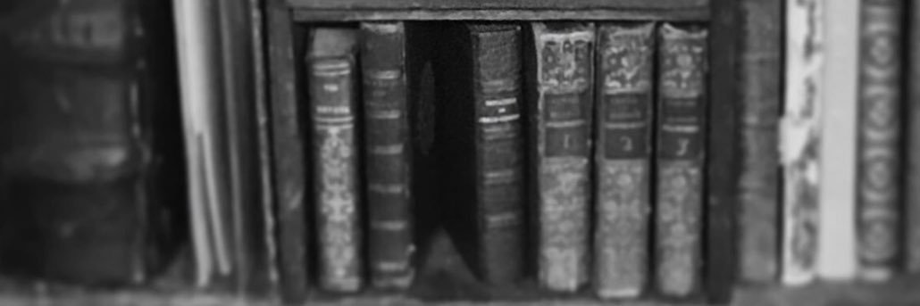 emulz22's profile banner image