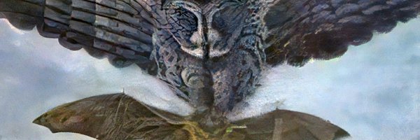 CitizenPTY Profile Banner