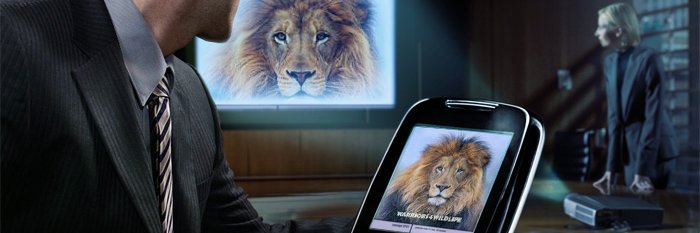 Warriors4Wildlife_Int™ 🌐Ⓥ🐾 banner