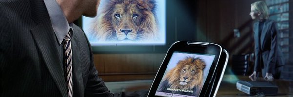 W4W_Int Profile Banner