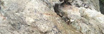 pedrobecerril2's profile banner image