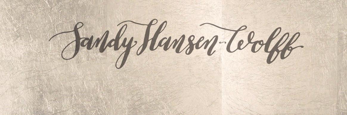 Sandy Hansen-Wolff banner