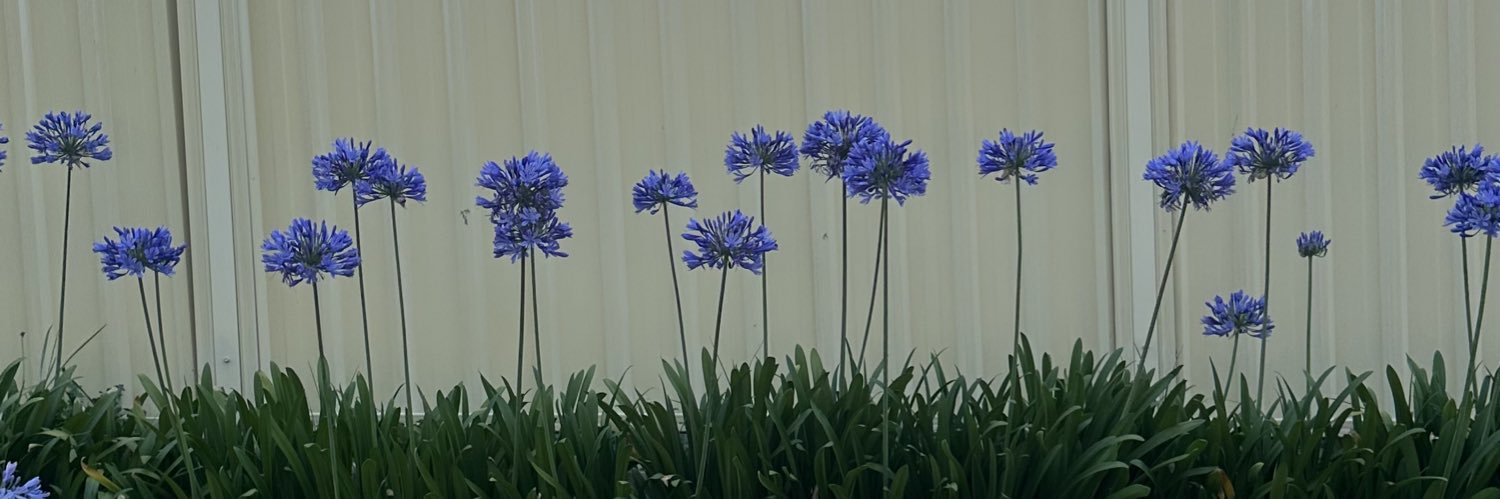 hanamld_'s profile banner image