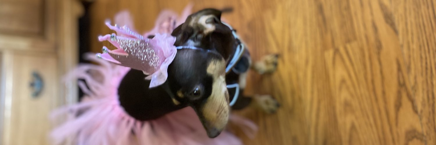 krissygo3's profile banner image