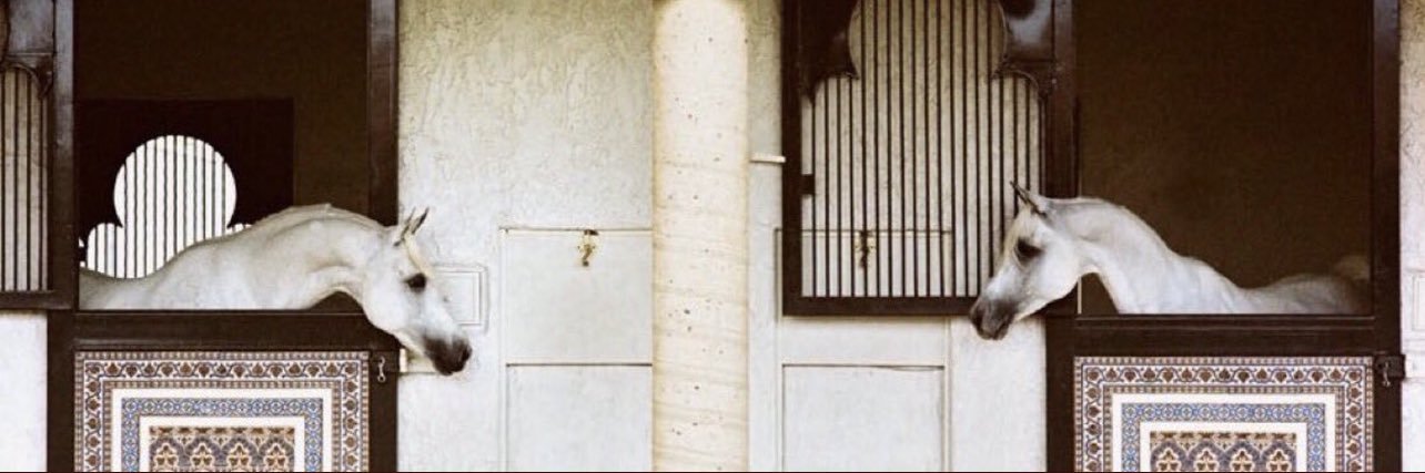 ajj_93's profile banner image