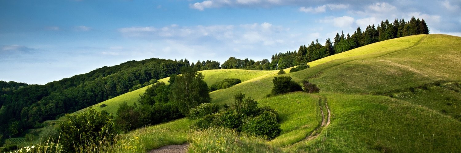MoragaSchDist's profile banner image