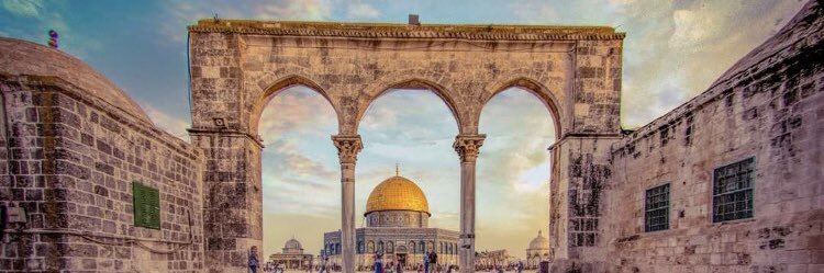 سلطان الهنائي ❤️🇵🇸🇴🇲 banner