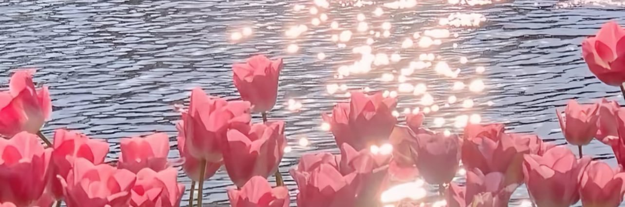 KimberlyCx3's profile banner image