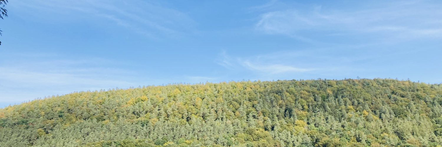 angieg0203's profile banner image