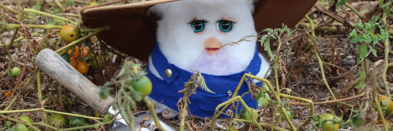 tinypinkcatnose's profile banner image