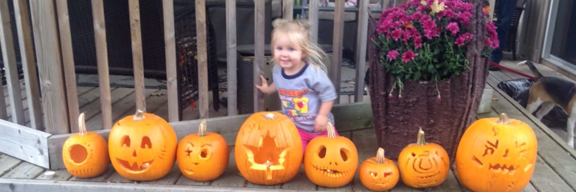 michellesheeler's profile banner image