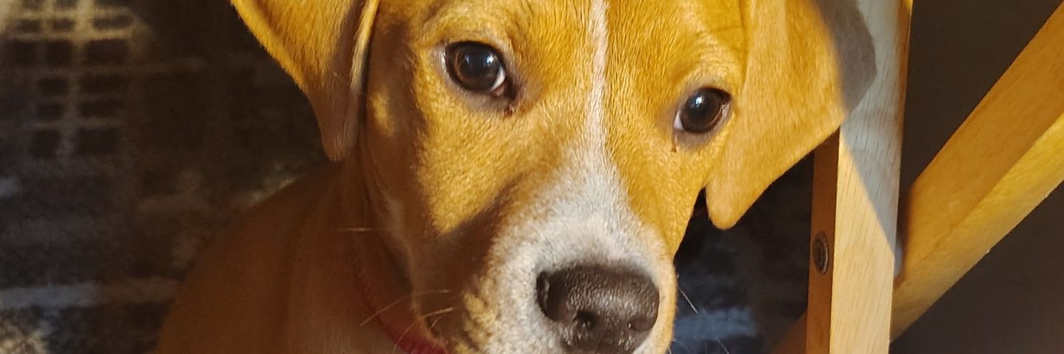 wendi_ice's profile banner image