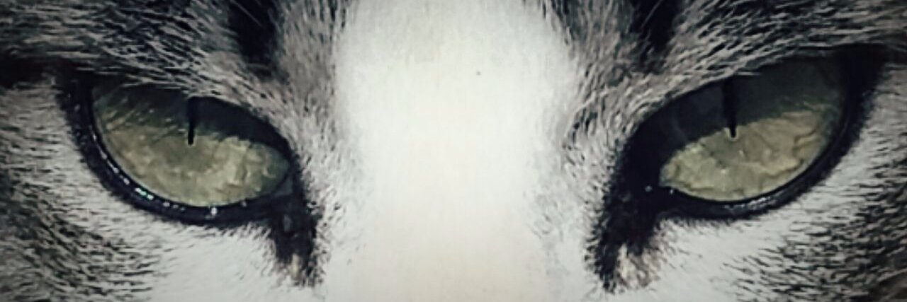 ariadnaac98's profile banner image