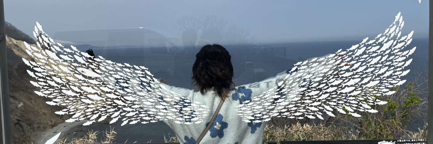 R_ts_h's profile banner image