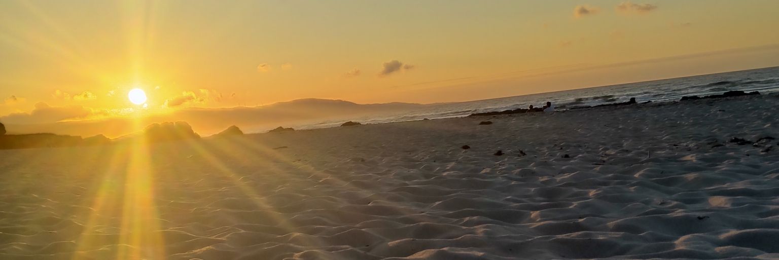 gabiesquerdinha's profile banner image