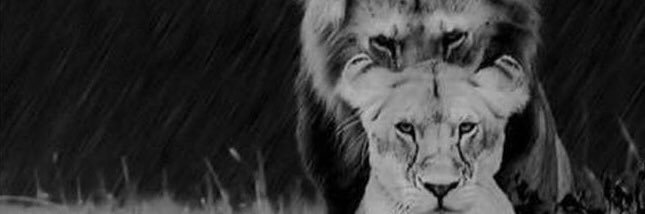 Obey_Collazo's profile banner image