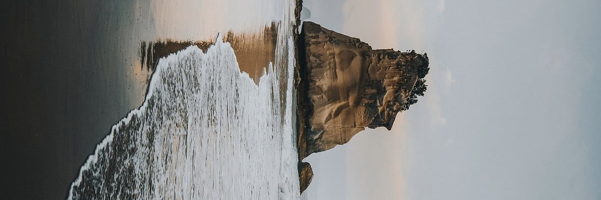 ¡̼𝕤𝕙𝕚༼ ༽𝕤𝕡𝕚!̼ banner