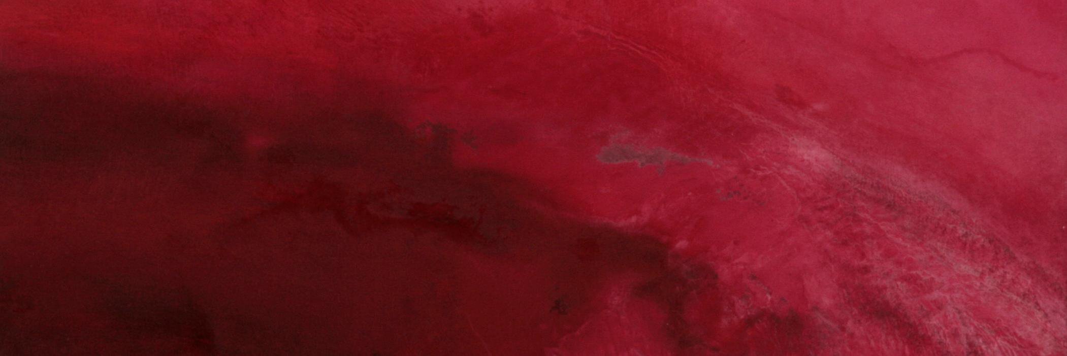 Frickleton Fine Art banner
