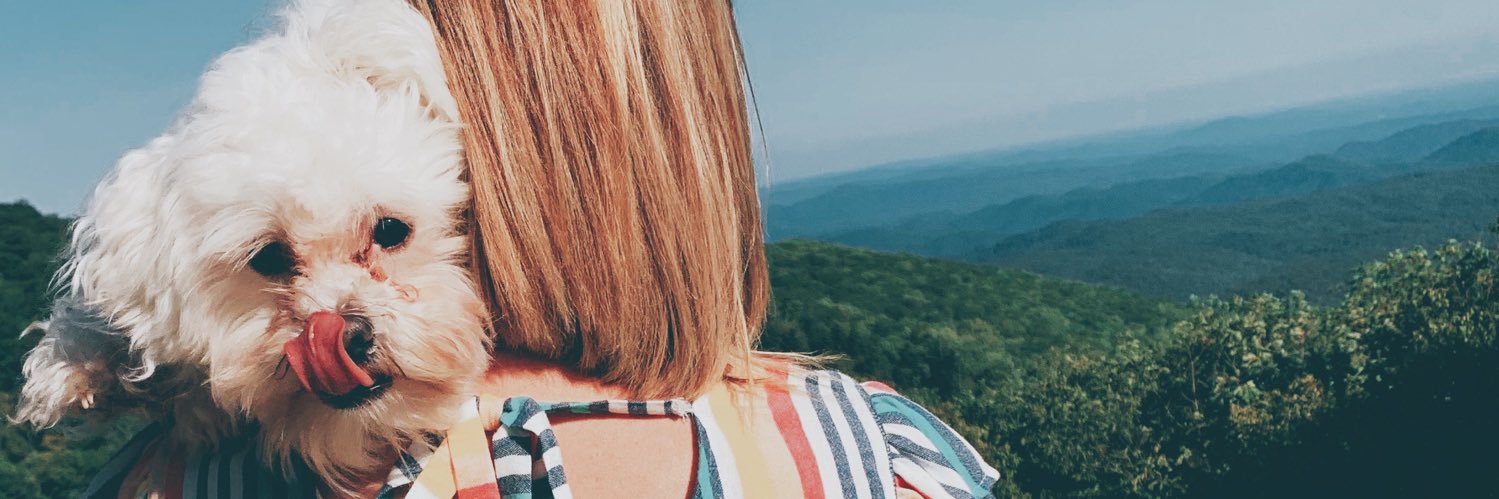 merejoyy's profile banner image