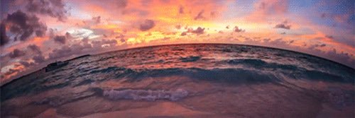 lblyndsay's profile banner image