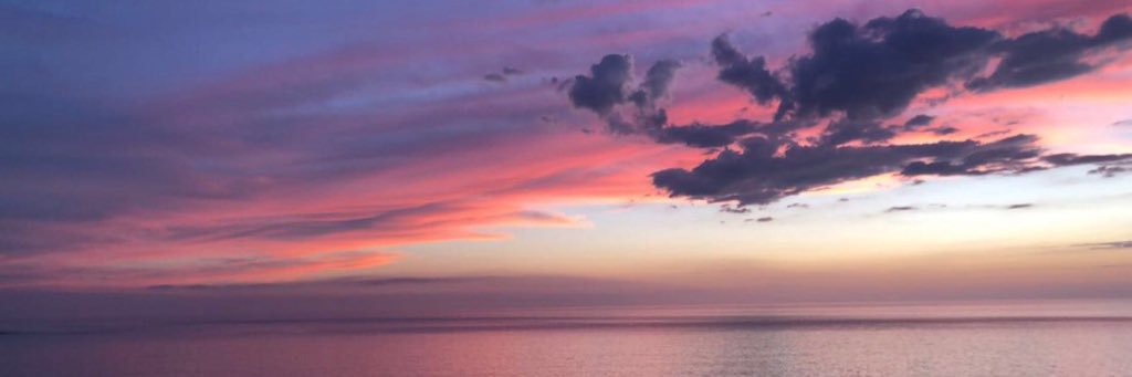 amaaartinez7's profile banner image