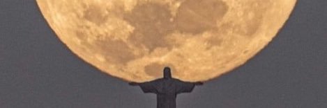 dellycioso banner