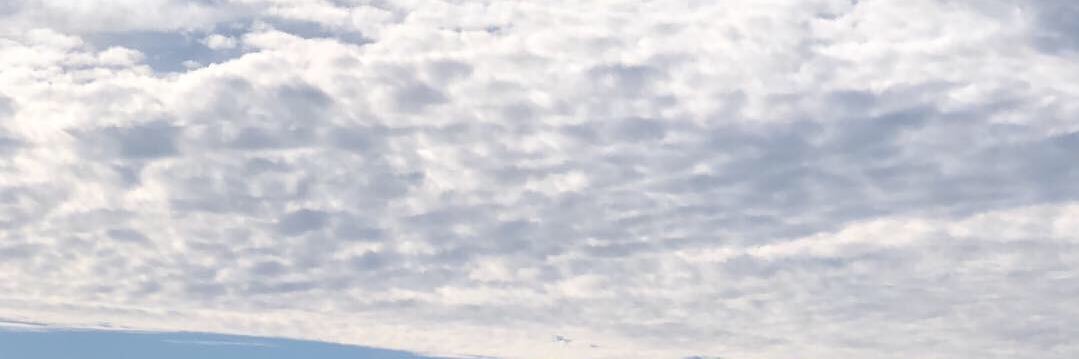 KingSrem's profile banner image