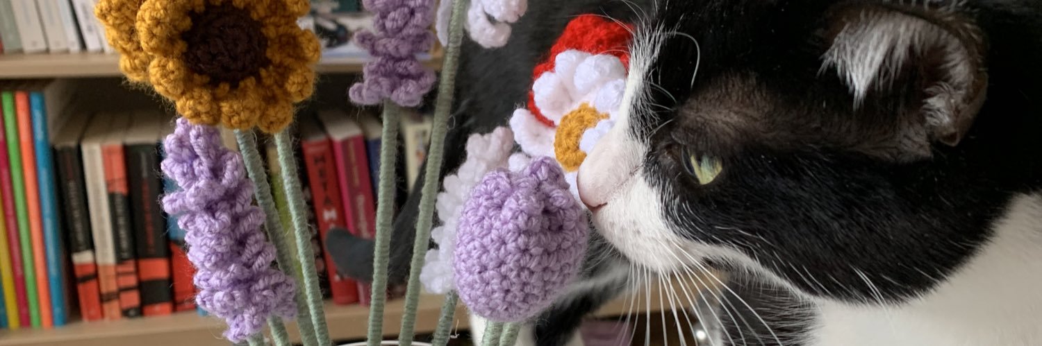 Sarah (Forever) banner