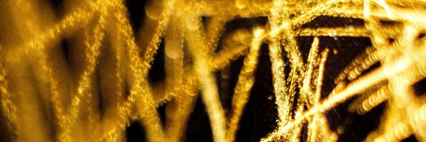 EneffeKei Profile Banner