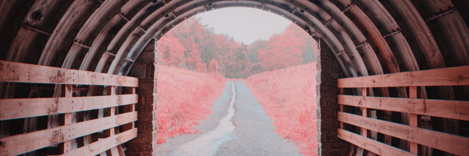 Stuart Singleton banner