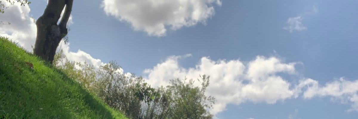 melmeb's profile banner image