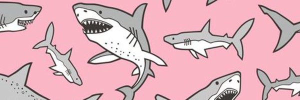 LaceyKayeMFC Profile Banner