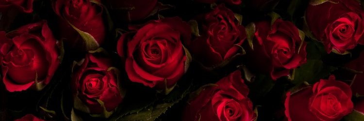 nourti95's profile banner image