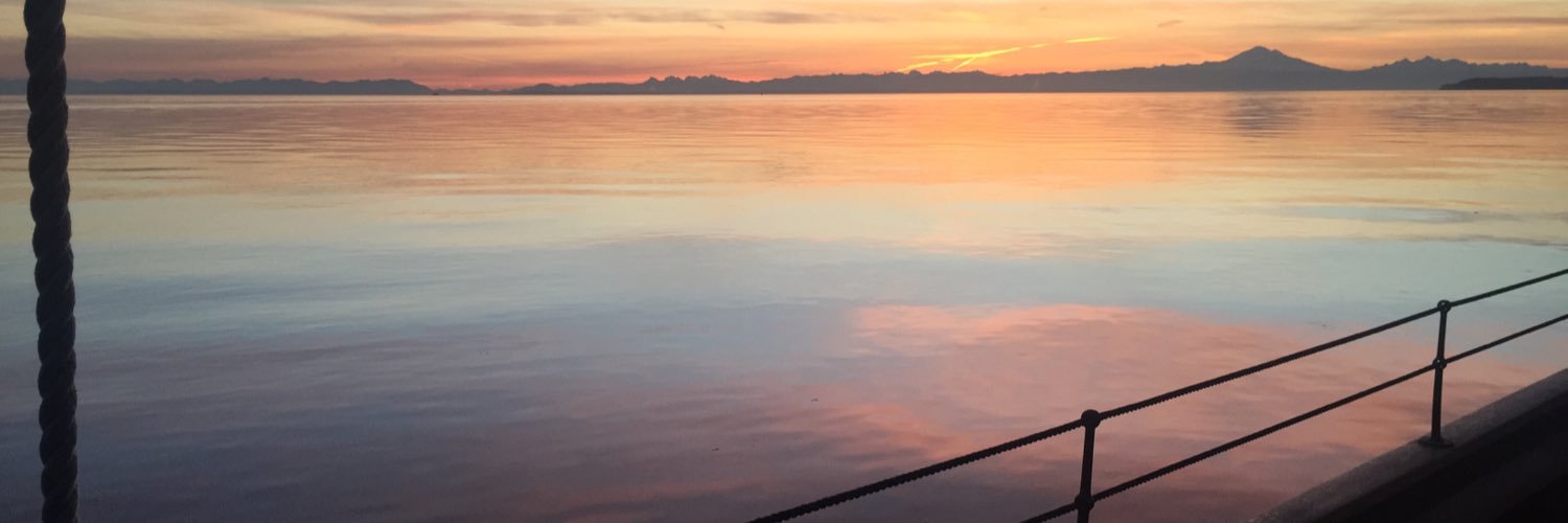 bwindee's profile banner image