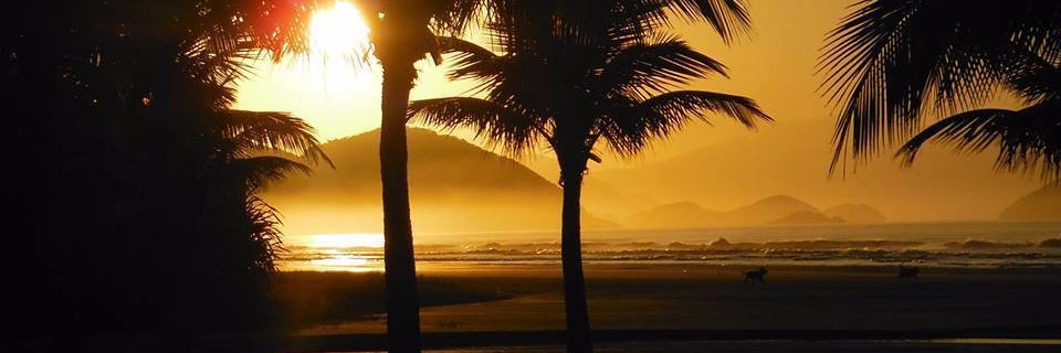 jaqueluzz's profile banner image